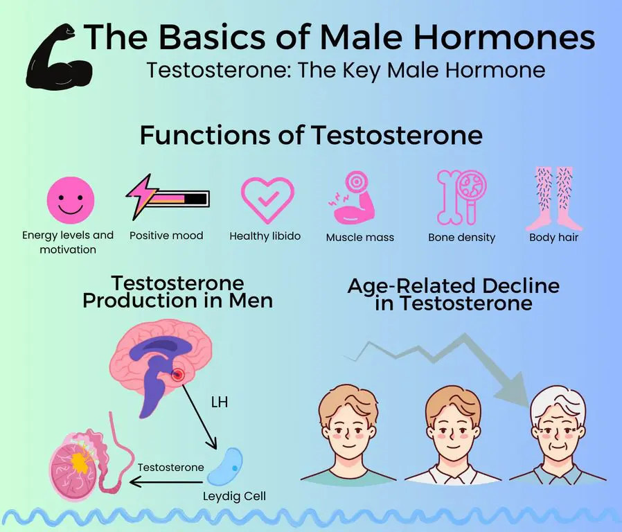 Male Hormone Replacement Therapy