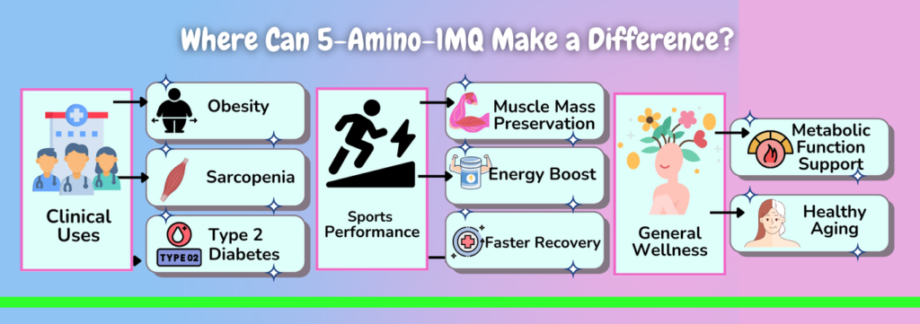 5 Amino 1MQ Uses Applications