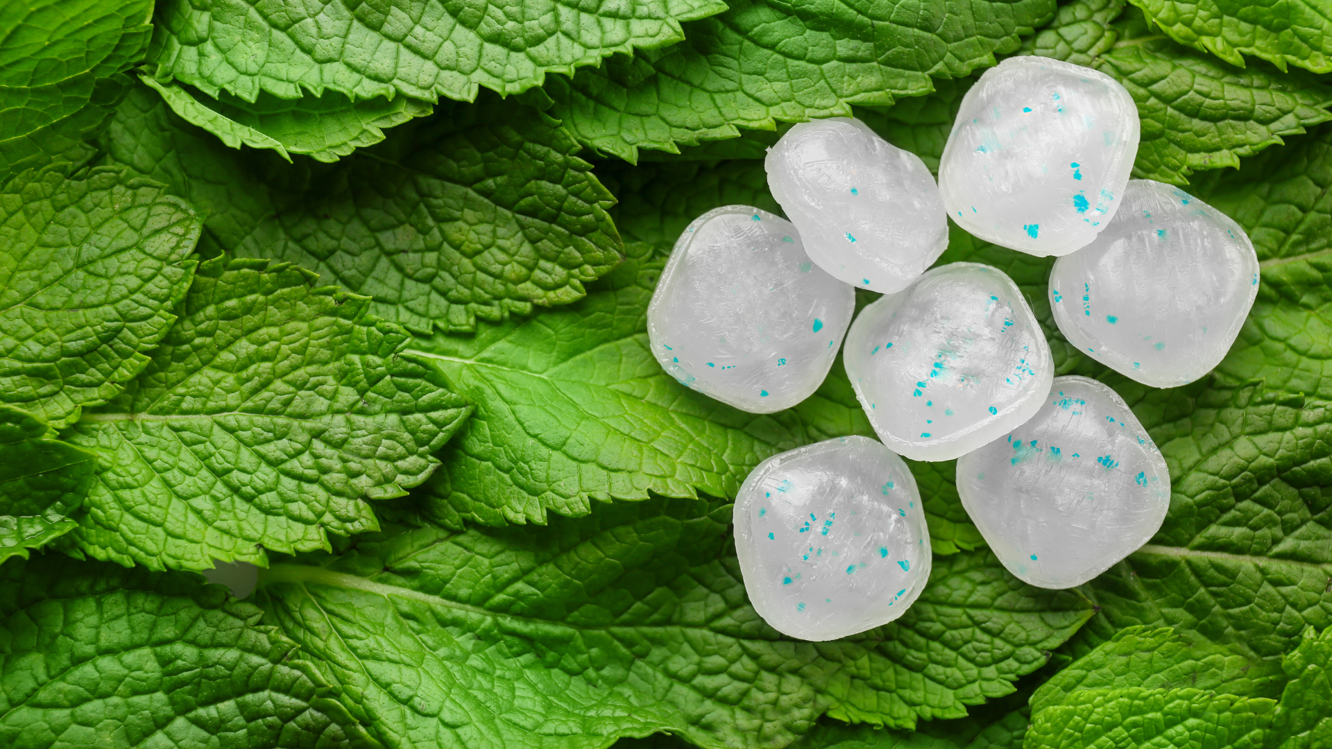 Mint – Refreshing, But Not for Testosterone