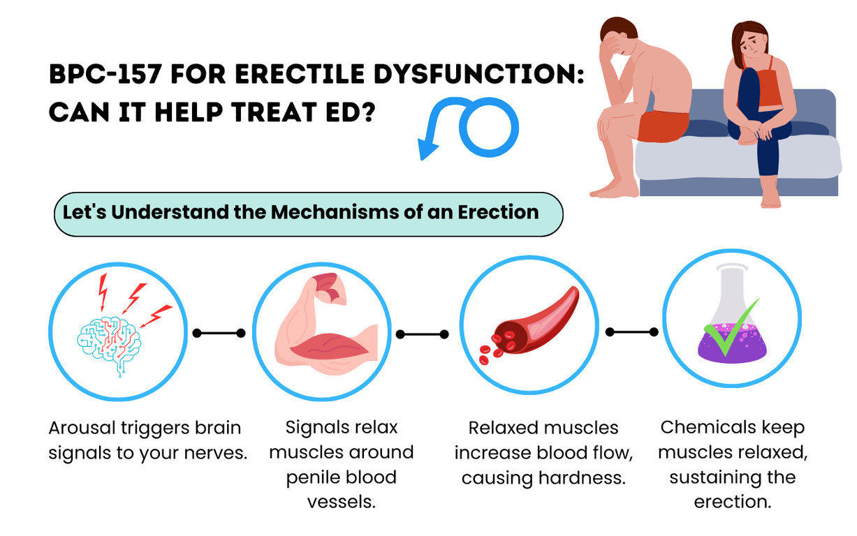 BPC-157 for Erectile Dysfunction: Can It Help Treat ED?