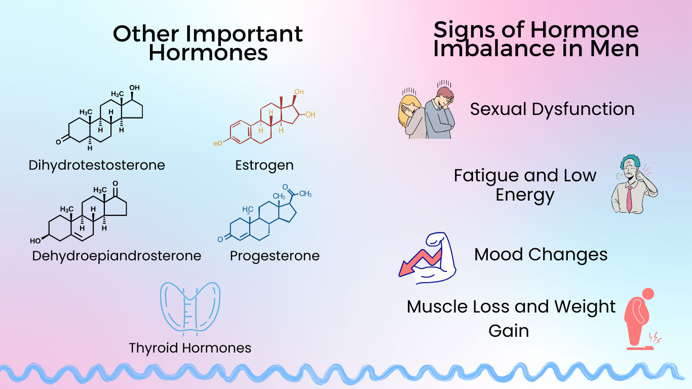 Hormone Imbalance in Men