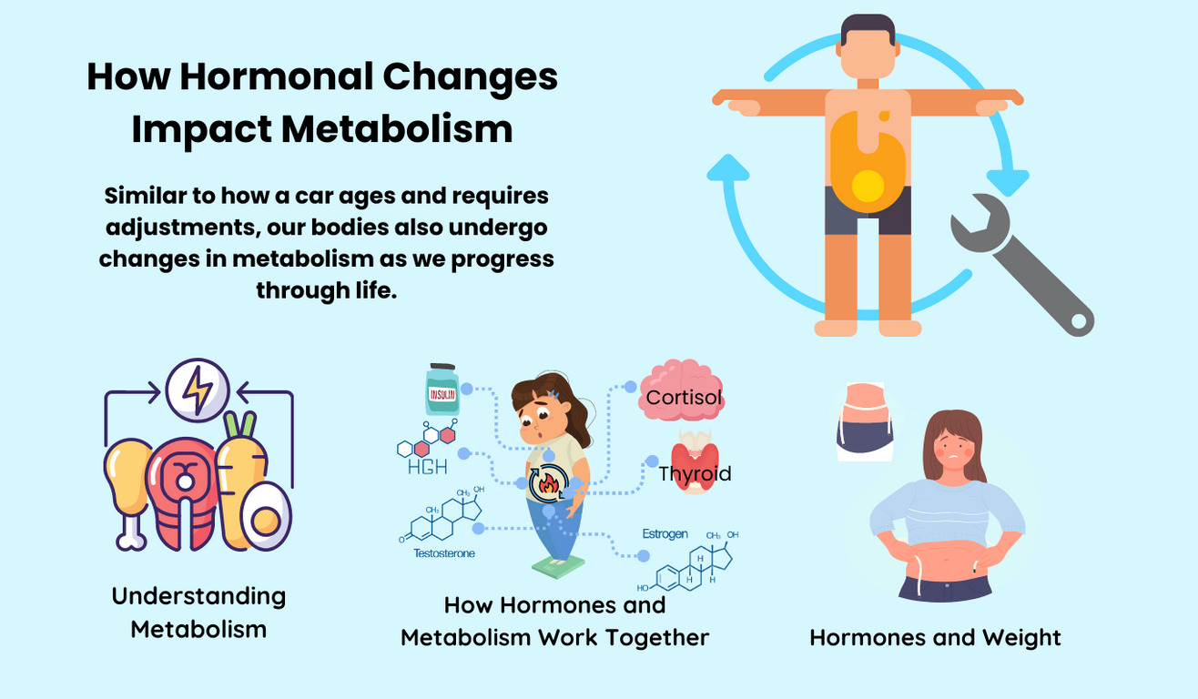 How Hormonal Changes Can Impact Metabolism