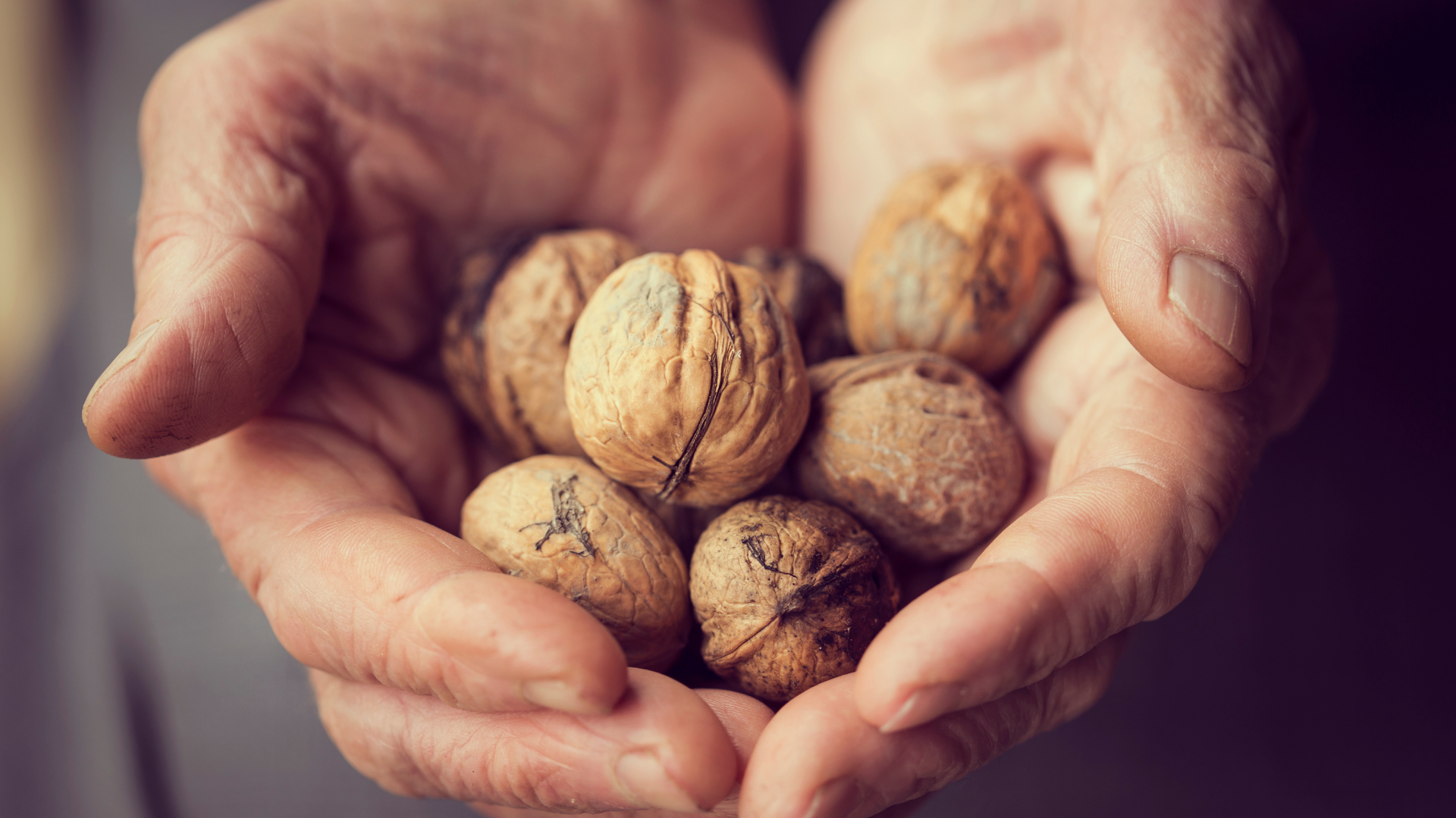 Walnuts – Nature’s Fertility Multivitamin