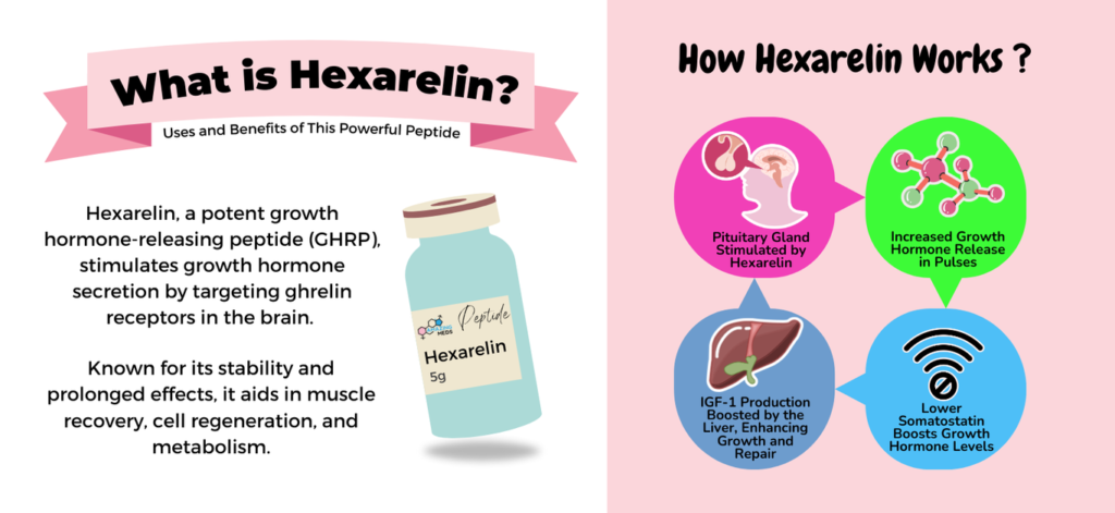 What is Hexarelin