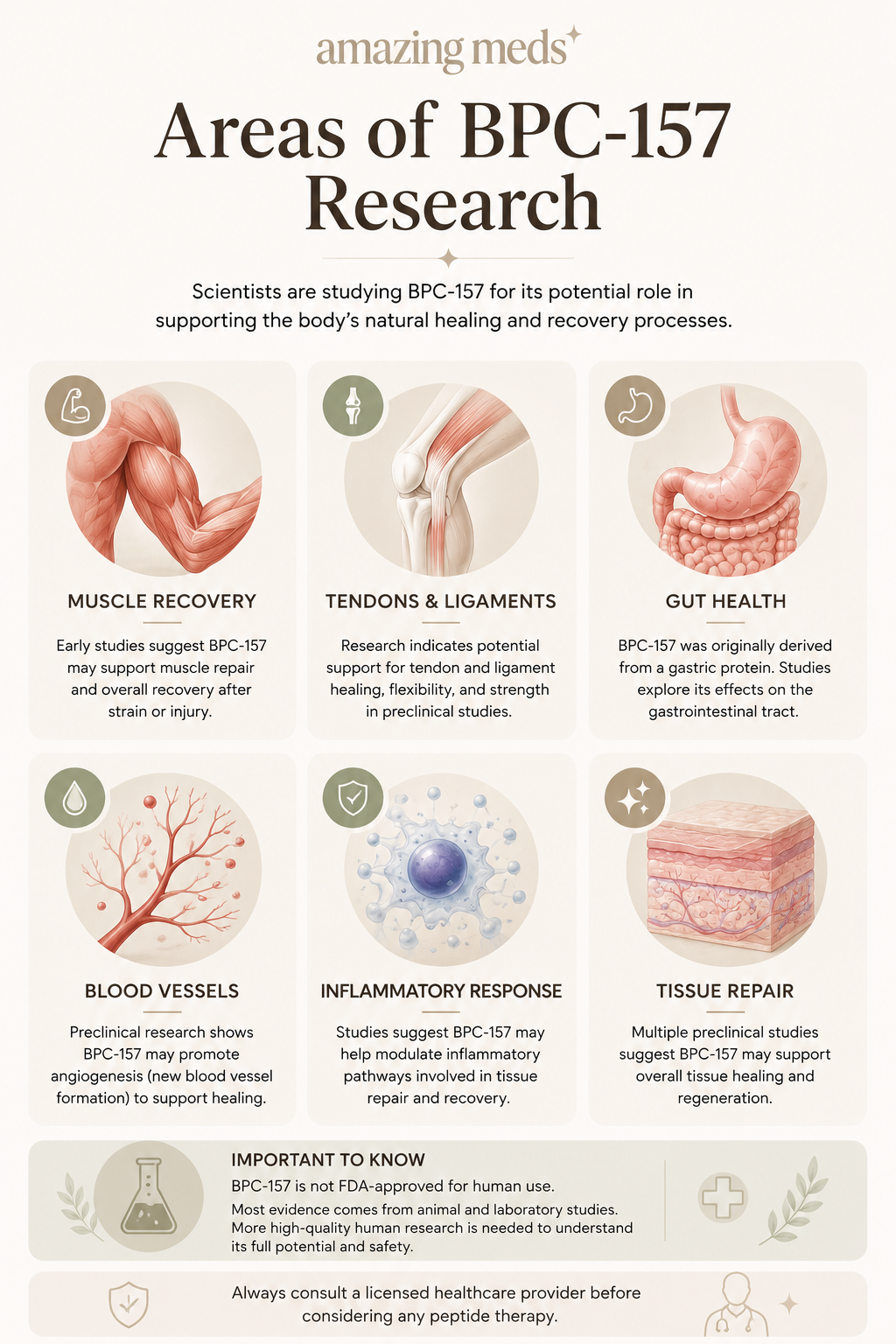 Lengthwise infographic highlighting six areas of BPC-157 research, including muscle recovery, tendons and ligaments, gut health, blood vessel formation, inflammatory response, and tissue repair, while noting that BPC-157 is not FDA-approved for human use.