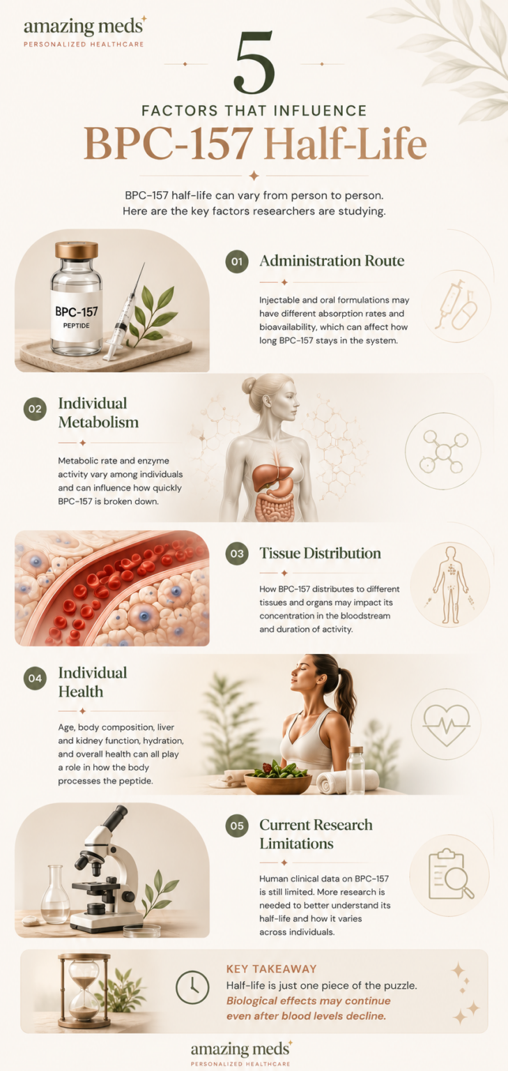 Lengthwise infographic showing the five primary factors that may influence BPC-157 half-life, including administration route, metabolism, tissue distribution, individual health, and current research limitations.