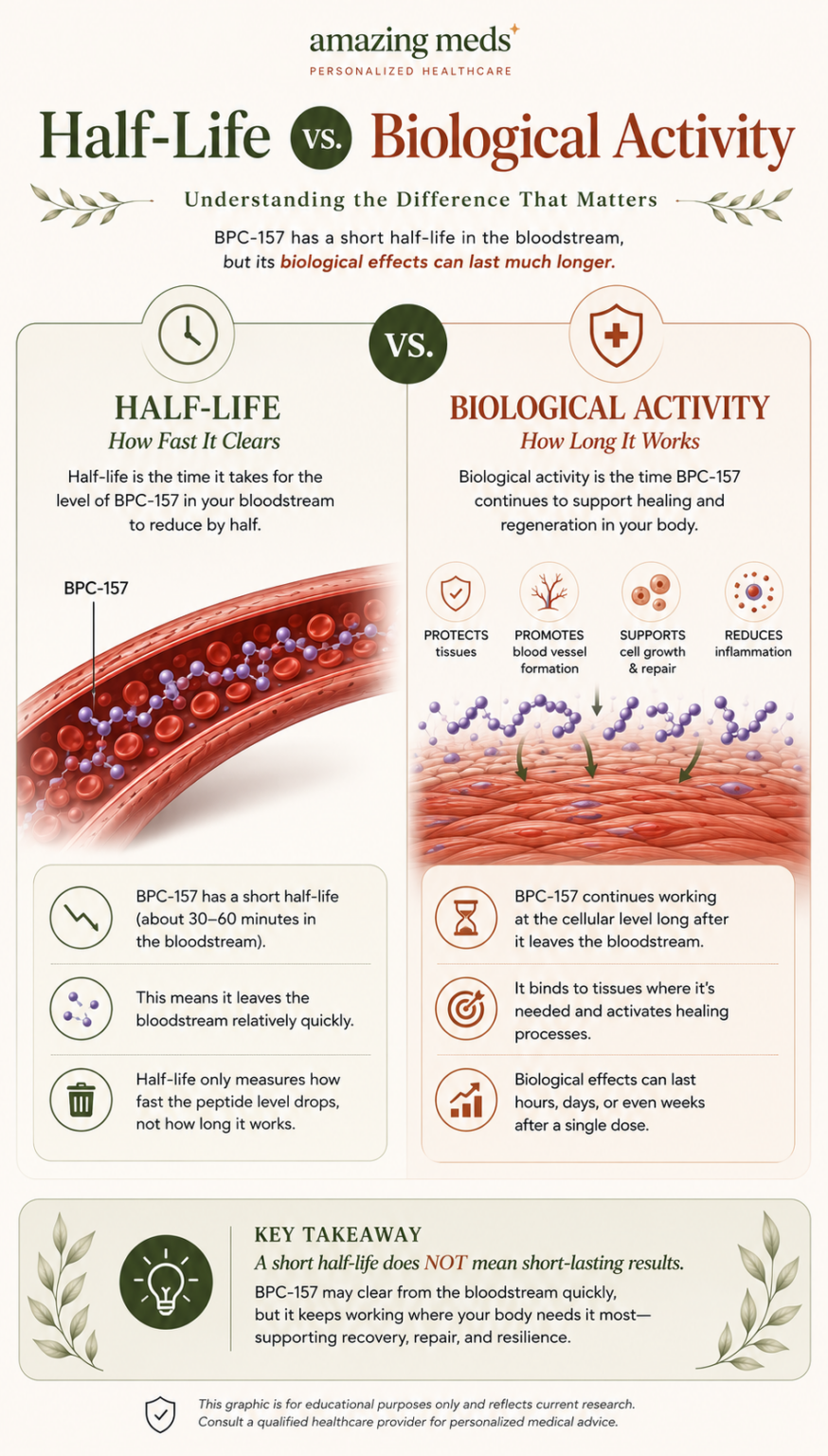 Educational infographic comparing BPC-157 half-life with biological activity, showing why peptide levels in the bloodstream decline faster than their biological effects may last.