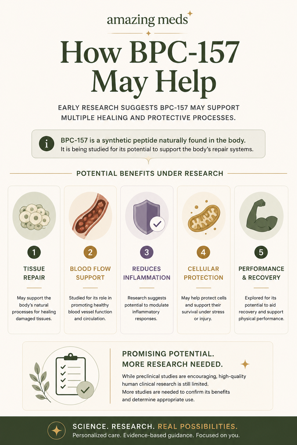 Lengthwise illustrated infographic summarizing the potential biological processes being studied in BPC-157 research, including tissue repair, blood flow support, inflammatory response, cellular protection, and recovery, presented in Amazing Meds' clean editorial style.
