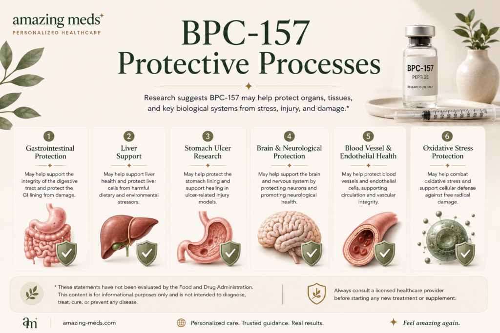 Lengthwise infographic illustrating the protective biological processes being studied for BPC-157, including gastrointestinal protection, liver support, stomach ulcer research, neurological health, blood vessel function, and oxidative stress using premium medical illustrations.