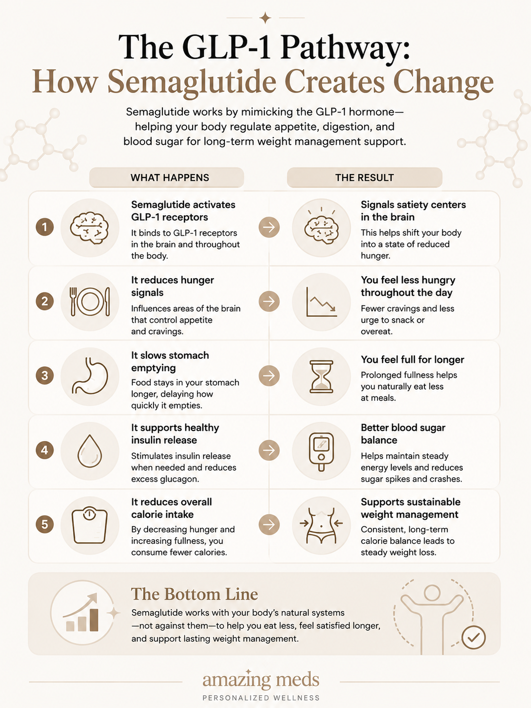 Infographic explaining the GLP-1 weight loss mechanism and how semaglutide influences appetite, fullness, blood sugar regulation, and long-term weight management.