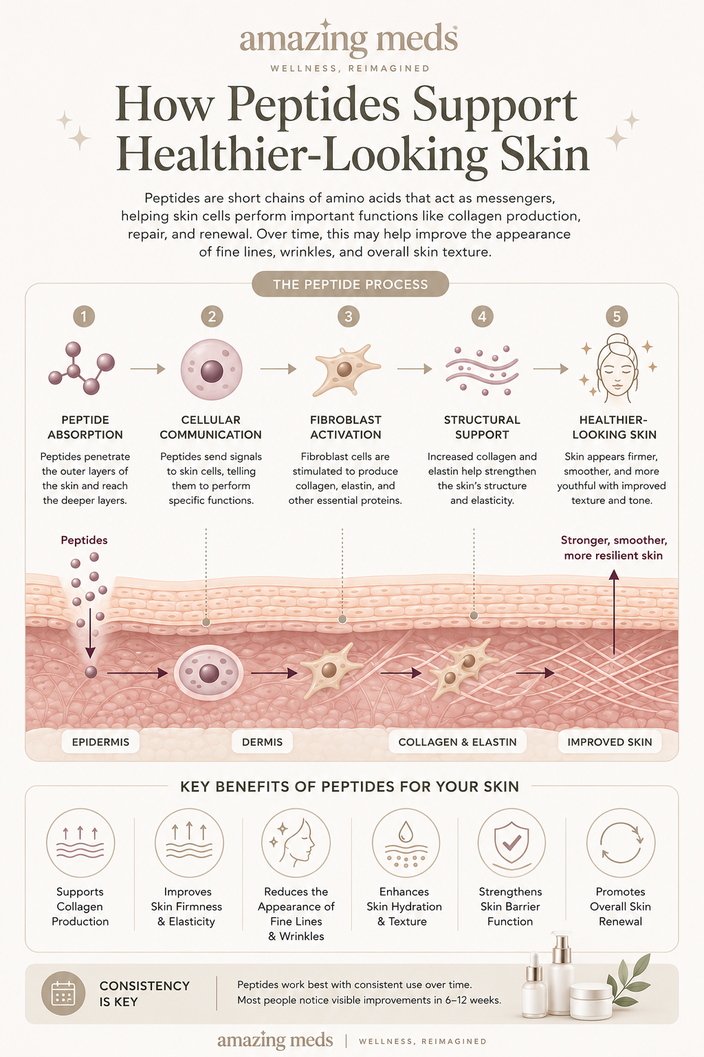 Infographic explaining how peptides support healthier-looking skin by promoting cellular communication, collagen production, skin repair, hydration, elasticity, and the appearance of fine lines and wrinkles.