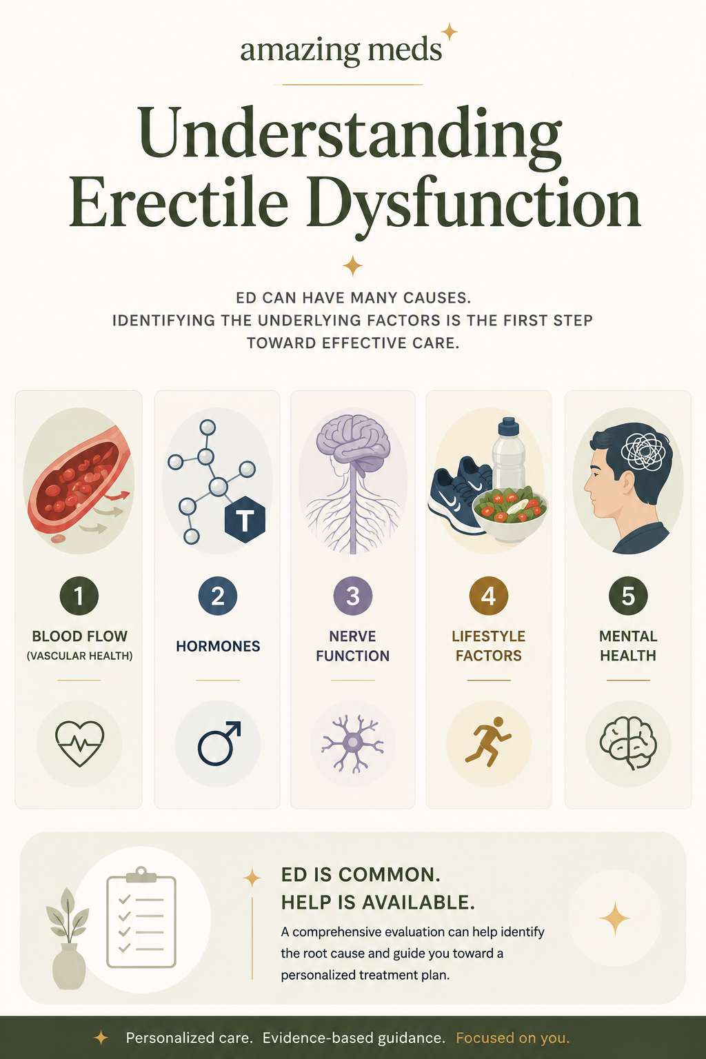 Lengthwise illustrated infographic explaining five common contributors to erectile dysfunction, including blood flow, hormones, nerve function, lifestyle factors, and mental health, presented in Amazing Meds' clean editorial style.